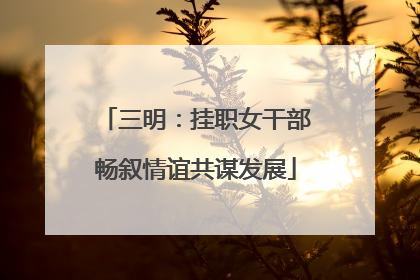 三明：挂职女干部畅叙情谊共谋发展