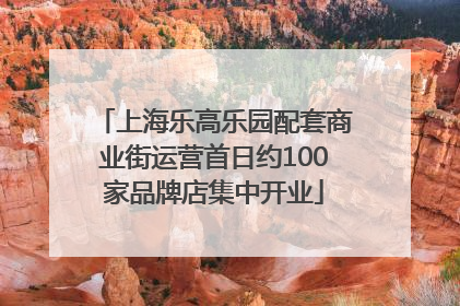 上海乐高乐园配套商业街运营首日约100家品牌店集中开业