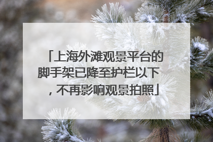 上海外滩观景平台的脚手架已降至护栏以下，不再影响观景拍照