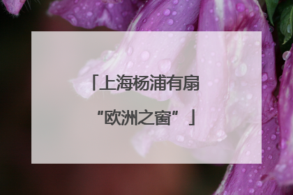 上海杨浦有扇“欧洲之窗”