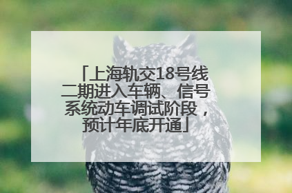 上海轨交18号线二期进入车辆、信号系统动车调试阶段，预计年底开通