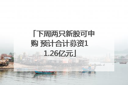 下周两只新股可申购 预计合计募资11.26亿元