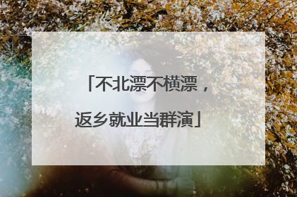 不北漂不横漂，返乡就业当群演