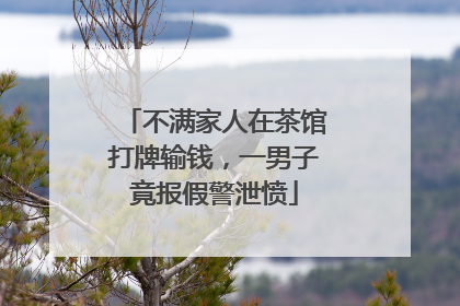 不满家人在茶馆打牌输钱，一男子竟报假警泄愤