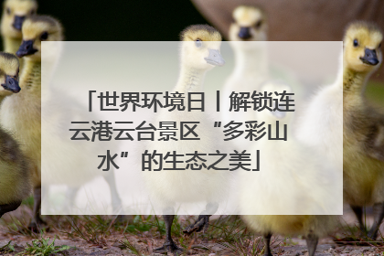 世界环境日丨解锁连云港云台景区“多彩山水”的生态之美