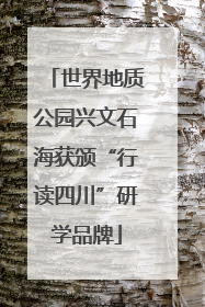 世界地质公园兴文石海获颁“行读四川”研学品牌