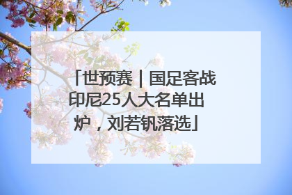 世预赛｜国足客战印尼25人大名单出炉，刘若钒落选