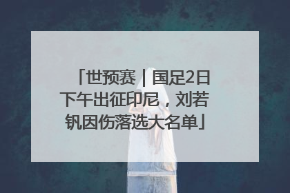 世预赛｜国足2日下午出征印尼，刘若钒因伤落选大名单