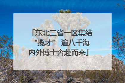 东北三省一区集结“揽才” 逾八千海内外博士奔赴而来