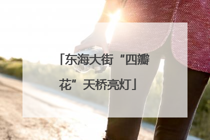 东海大街“四瓣花”天桥亮灯