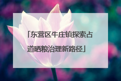东营区牛庄镇探索占道晒粮治理新路径