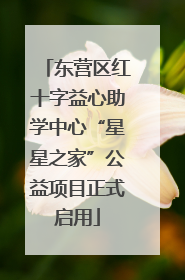 东营区红十字益心助学中心“星星之家”公益项目正式启用