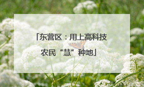 东营区：用上高科技 农民“慧”种地