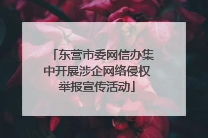 东营市委网信办集中开展涉企网络侵权举报宣传活动