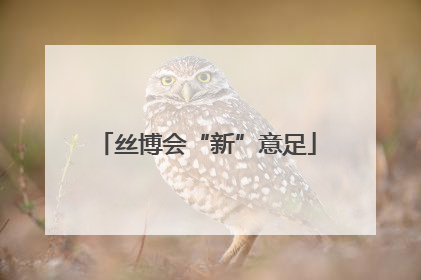 丝博会“新”意足
