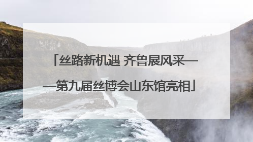 丝路新机遇 齐鲁展风采——第九届丝博会山东馆亮相
