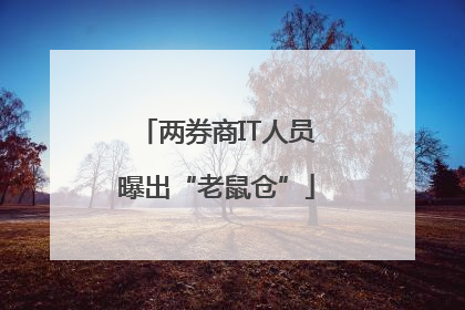 两券商IT人员曝出“老鼠仓”