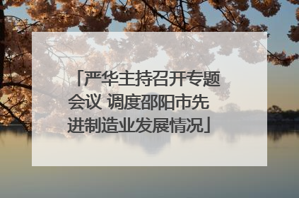 严华主持召开专题会议 调度邵阳市先进制造业发展情况