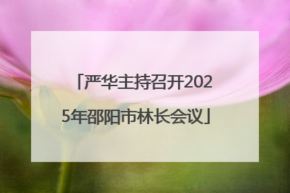 严华主持召开2025年邵阳市林长会议
