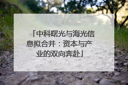 中科曙光与海光信息拟合并：资本与产业的双向奔赴