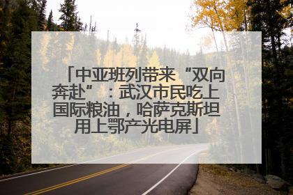 中亚班列带来“双向奔赴”：武汉市民吃上国际粮油，哈萨克斯坦用上鄂产光电屏