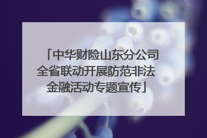 中华财险山东分公司全省联动开展防范非法金融活动专题宣传