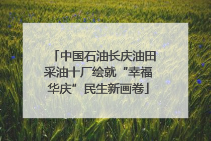 中国石油长庆油田采油十厂绘就“幸福华庆”民生新画卷
