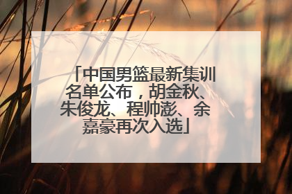 中国男篮最新集训名单公布，胡金秋、朱俊龙、程帅澎、余嘉豪再次入选