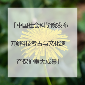 中国社会科学院发布7项科技考古与文化遗产保护重大成果