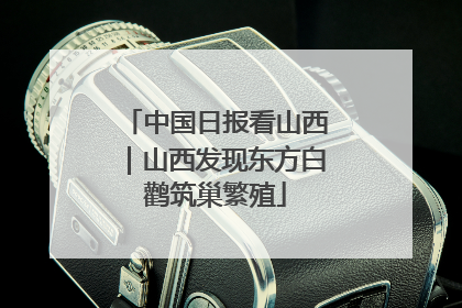 中国日报看山西｜山西发现东方白鹳筑巢繁殖
