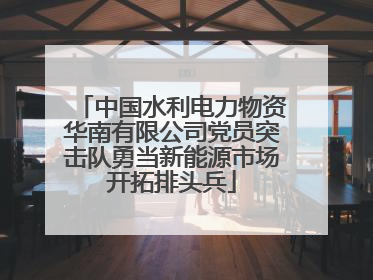 中国水利电力物资华南有限公司党员突击队勇当新能源市场开拓排头兵