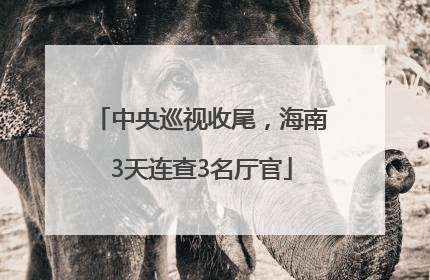 中央巡视收尾，海南3天连查3名厅官