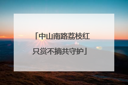 中山南路荔枝红 只赏不摘共守护