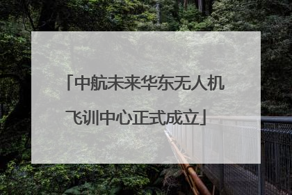 中航未来华东无人机飞训中心正式成立