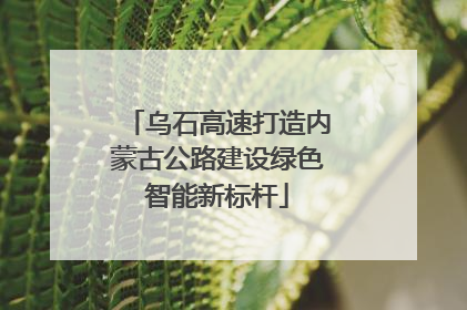 乌石高速打造内蒙古公路建设绿色智能新标杆