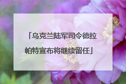 乌克兰陆军司令德拉帕特宣布将继续留任