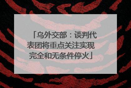 乌外交部：谈判代表团将重点关注实现完全和无条件停火