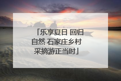 乐享夏日 回归自然 石家庄乡村采摘游正当时