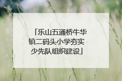 乐山五通桥牛华镇二码头小学夯实少先队组织建设