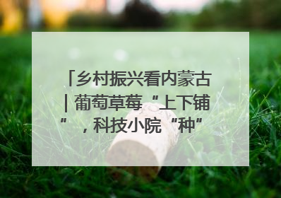 乡村振兴看内蒙古｜葡萄草莓“上下铺”，科技小院“种”出三倍效益