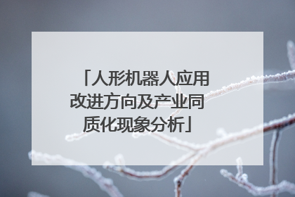 人形机器人应用改进方向及产业同质化现象分析