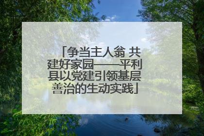 争当主人翁 共建好家园——平利县以党建引领基层善治的生动实践