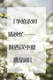 争抢农时插秧忙——陕西汉中夏播见闻