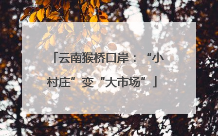 云南猴桥口岸：“小村庄”变“大市场”