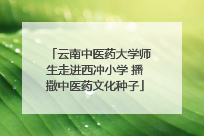 云南中医药大学师生走进西冲小学 播撒中医药文化种子