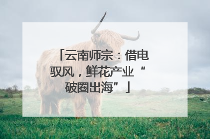 云南师宗：借电驭风，鲜花产业“破圈出海”