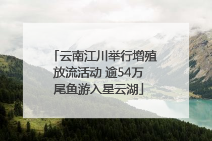 云南江川举行增殖放流活动 逾54万尾鱼游入星云湖