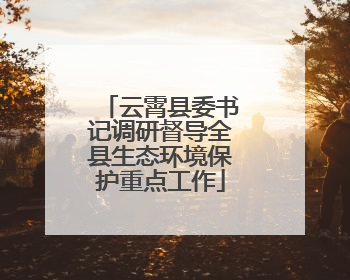云霄县委书记调研督导全县生态环境保护重点工作