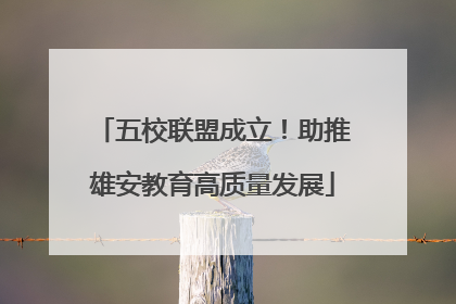 五校联盟成立！助推雄安教育高质量发展