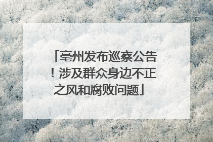 亳州发布巡察公告！涉及群众身边不正之风和腐败问题